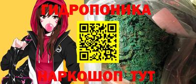 дурь Славгород
