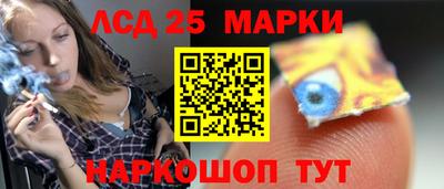 хмурый Сланцы