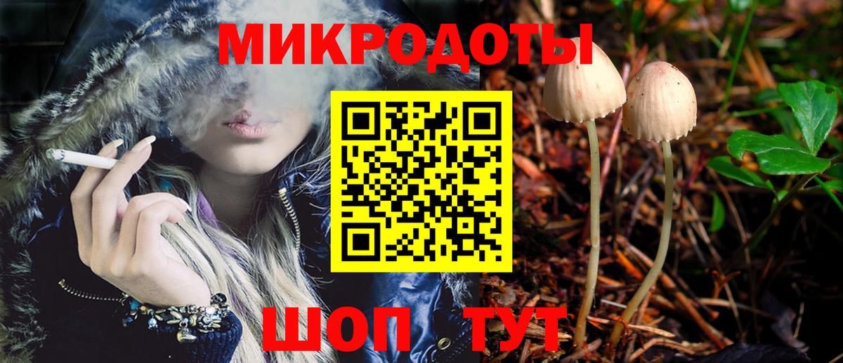 APVP Анапа